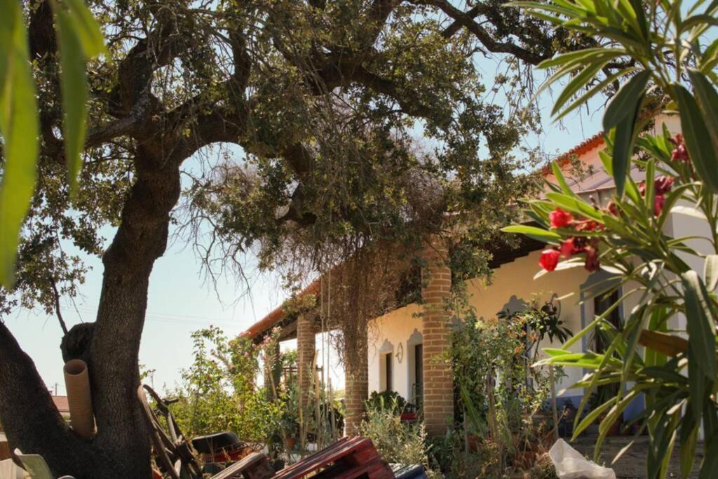Aproveite O Sabor Do Alentejo Villa Vila Verde de Ficalho Exterior photo