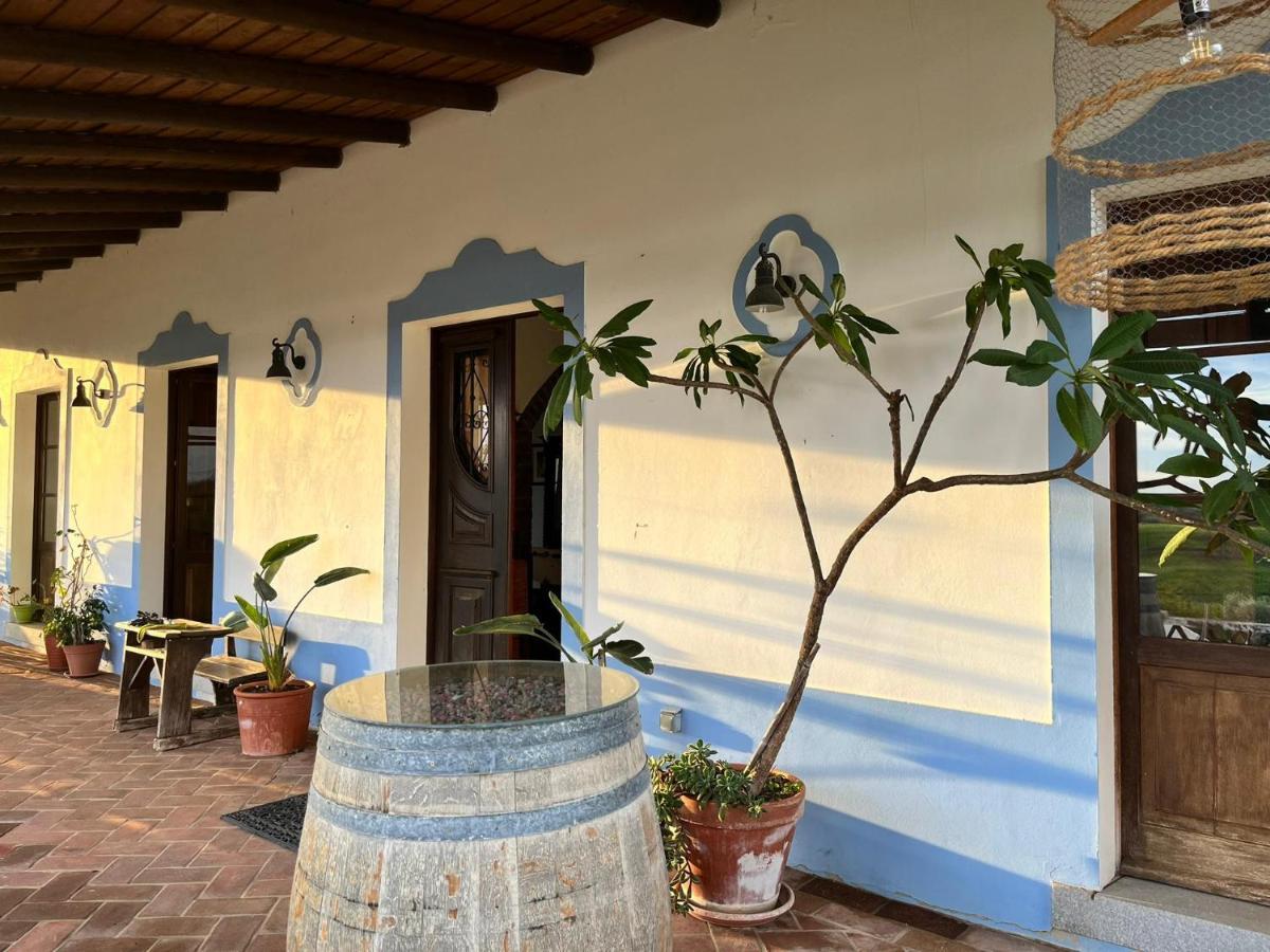 Aproveite O Sabor Do Alentejo Villa Vila Verde de Ficalho Exterior photo