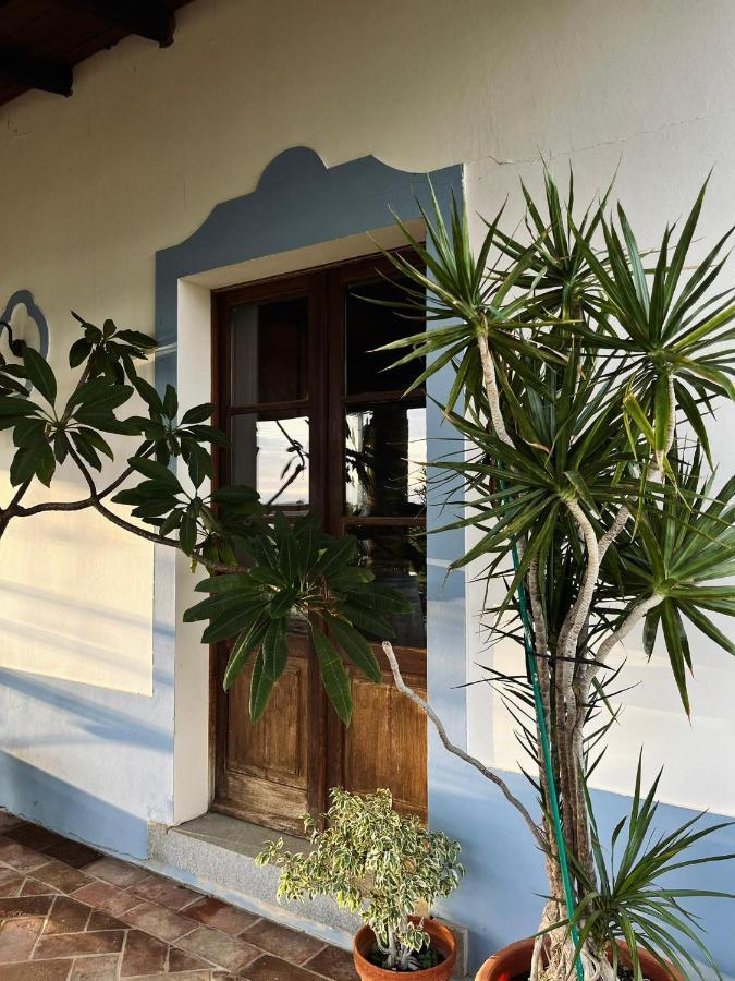 Aproveite O Sabor Do Alentejo Villa Vila Verde de Ficalho Exterior photo